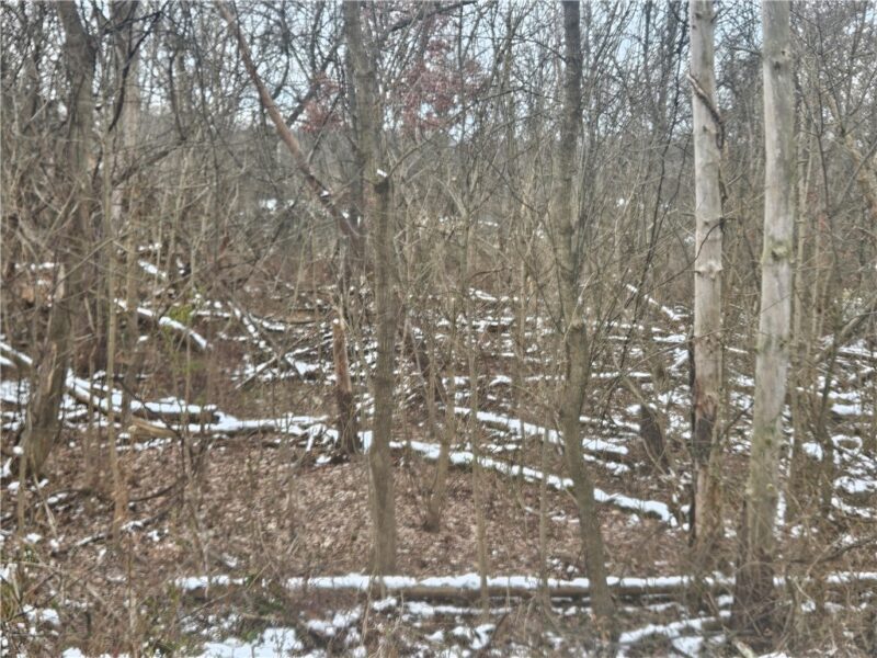 2505 Lot 2 Guffey — photo 4