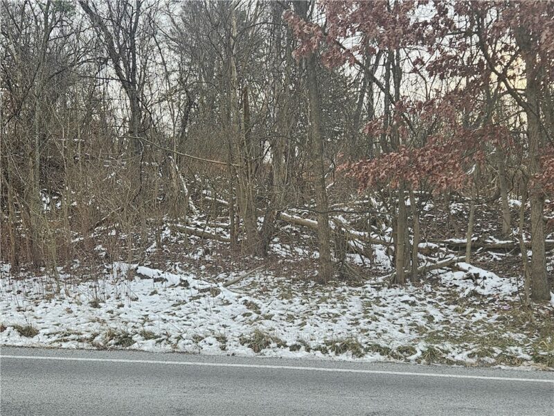 2505 Lot 2 Guffey — photo 5