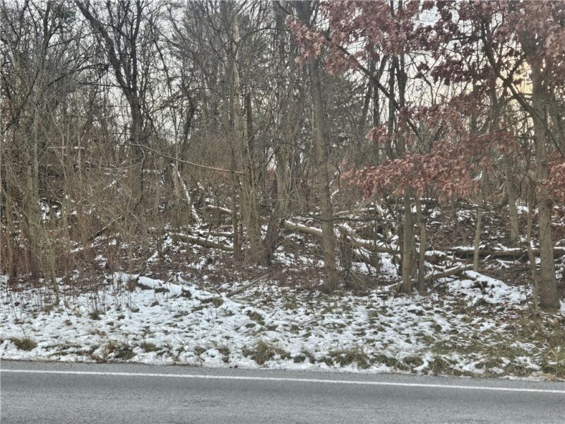 2505 Lot 2 Guffey — photo 6
