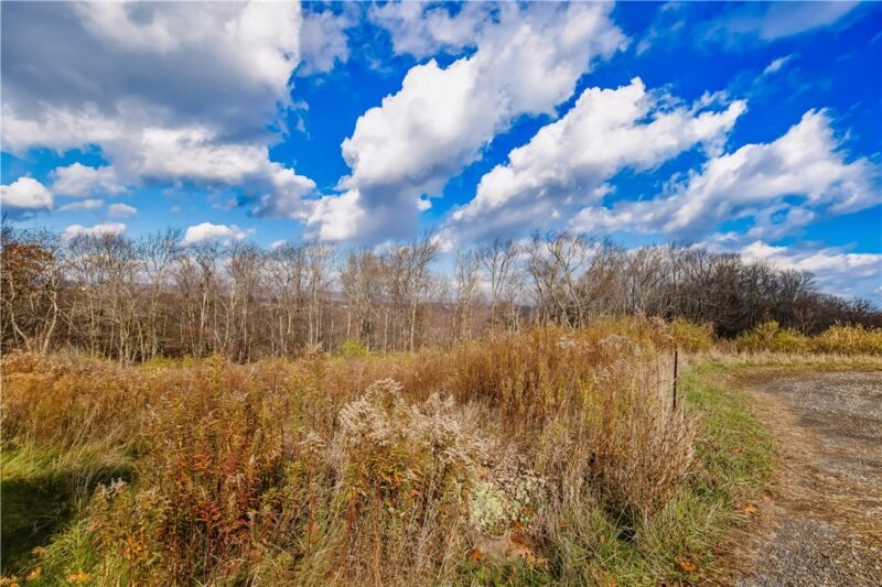 013 Oak Crest Drive — photo 4