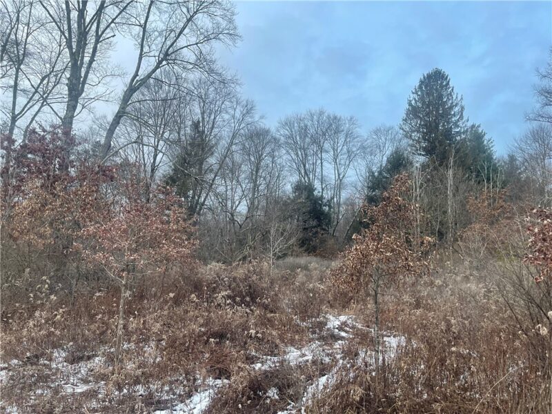 0 Rogers Riviera Rd. — photo 2