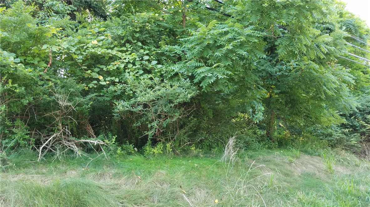 0 S Route 119 — photo 1