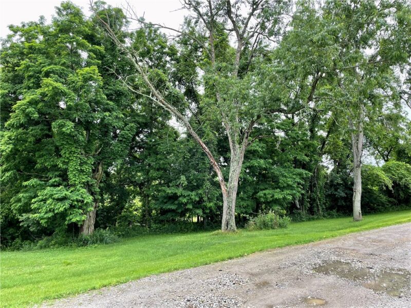 1027 Locust Ave — photo 3