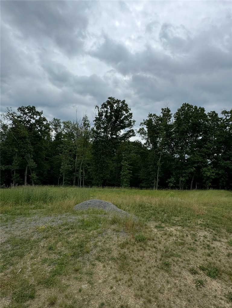 (Lot 205) 2009 Mallard Ln — photo 1