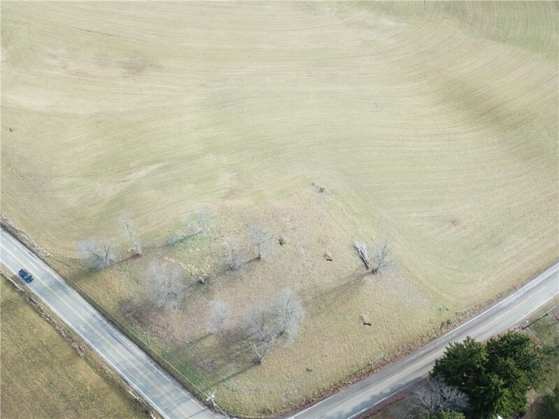 03 Wises Grove Rd — photo 5