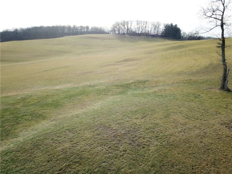02 Wises Grove Road — photo 7
