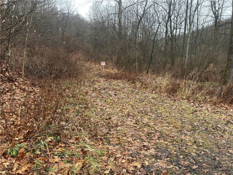0 Nye Road — photo 3