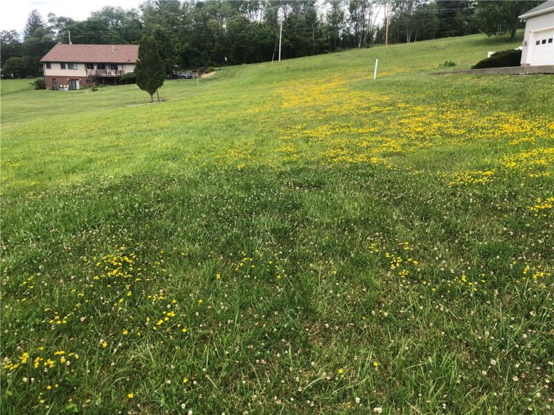 LOT 10 WELLINGTON DRIVE — photo 2