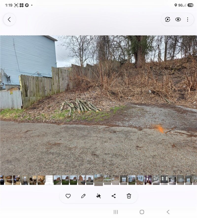 5384 Warble — photo 3