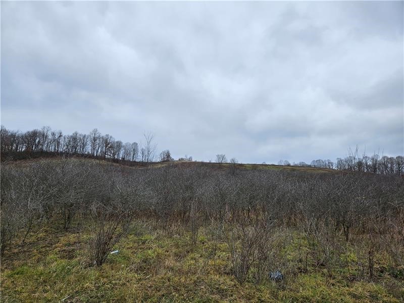 0 State Route 168 — photo 2
