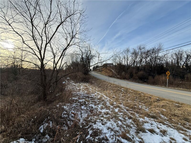 R3 Zoned Manor Road Southern Tract Parcel A-2 — photo 3