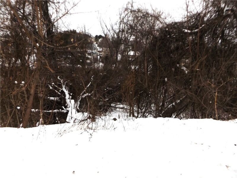 0 Coal Lick Hollow Rd — photo 5