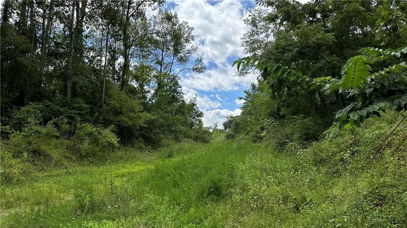 88 LOW HILL RD — photo 8