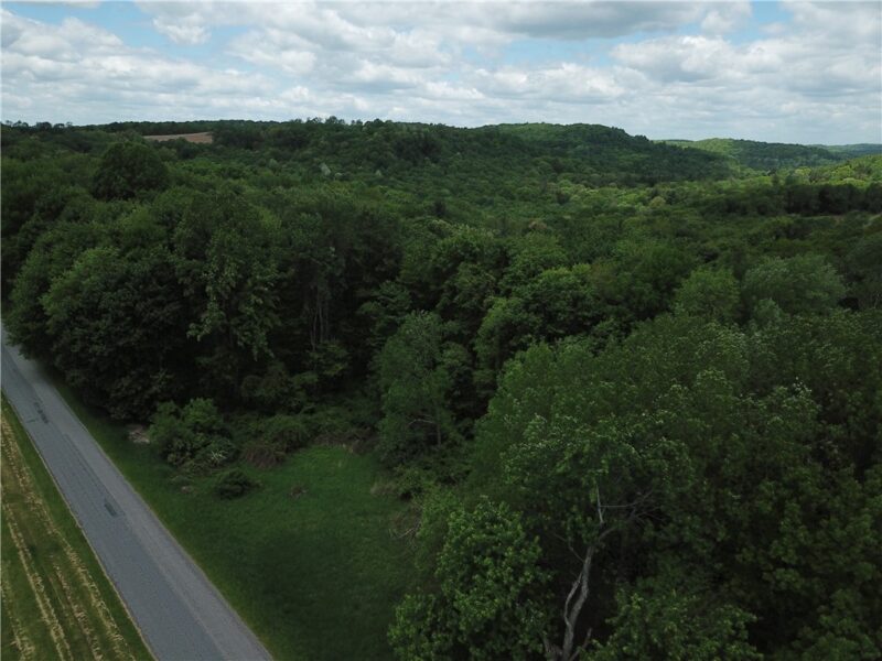 0 Wilgus Rd — photo 4