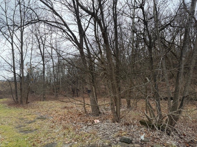 0 Mclaughlin St — photo 1