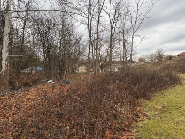 0 Mclaughlin St — photo 4