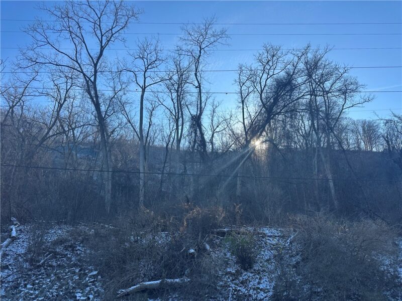 Lot 331 Allegheny River Blvd — photo 3