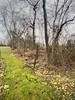 Lot#42 Fern St — photo 2