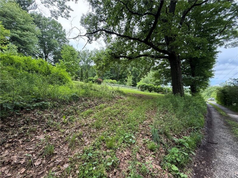 701 Chicora Rd — photo 4
