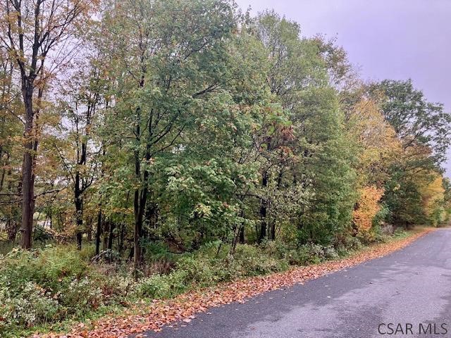 0 Pike Road — photo 4