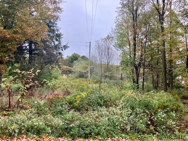 0 Pike Road — photo 5