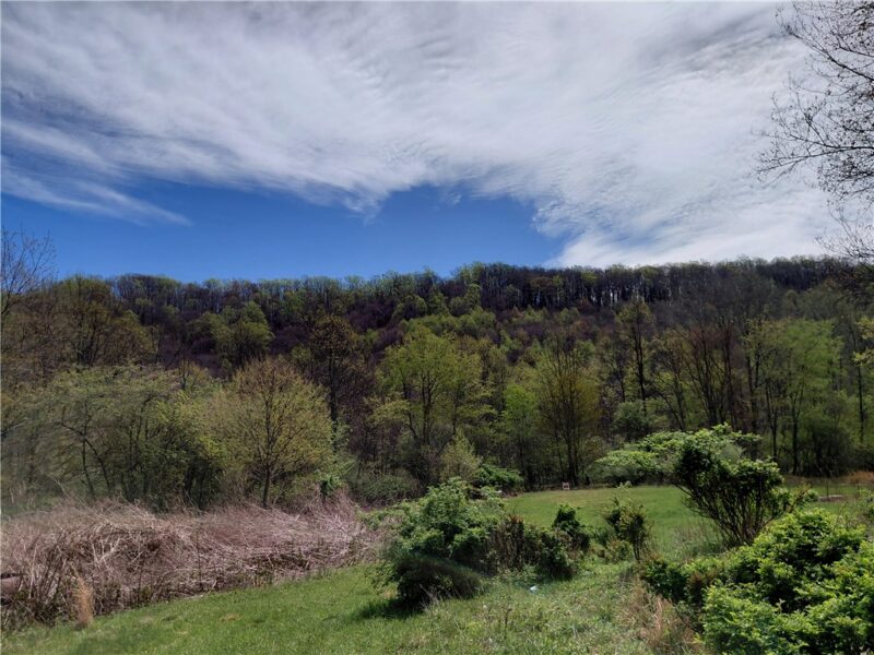524 Patterson Rd — photo 2