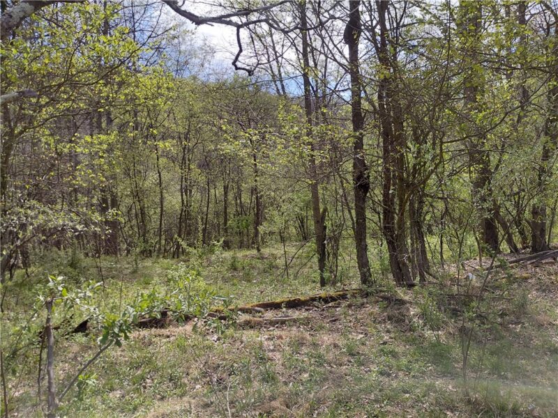 524 Patterson Rd — photo 8