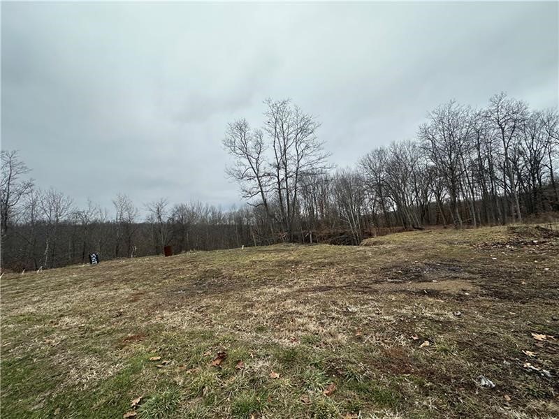390 Snuff Ridge Road — photo 5