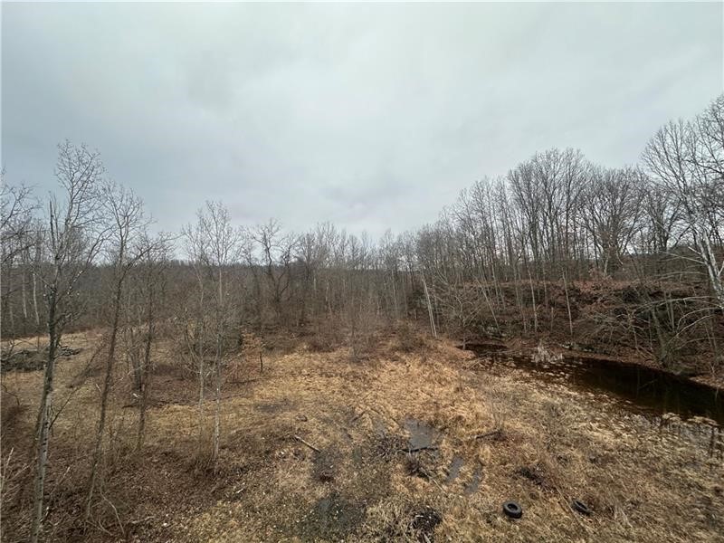 390 Snuff Ridge Road — photo 6