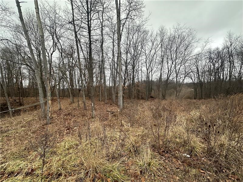 390 Snuff Ridge Road — photo 7