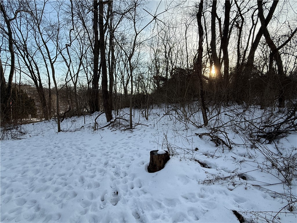 Lot 1 Millers Run rd — photo 1