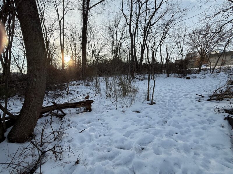 Lot 1 Millers Run rd — photo 2