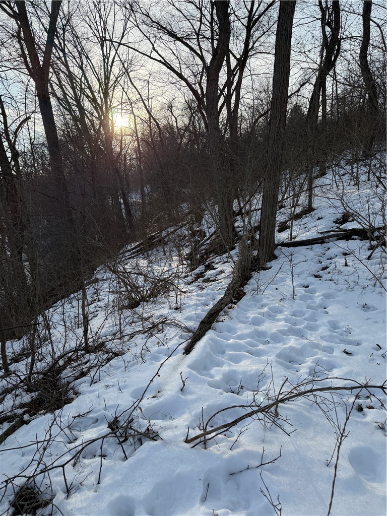 Lot 1 Millers Run rd — photo 6