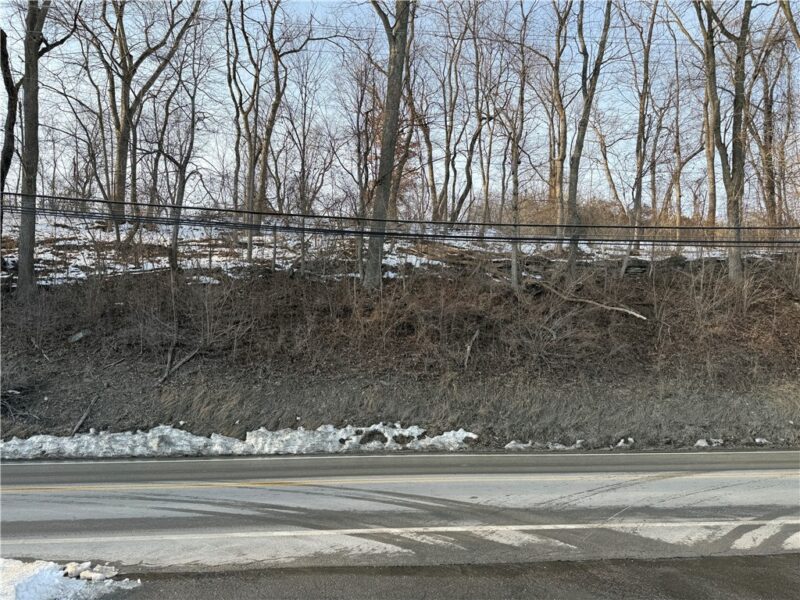 Lot 1 Millers Run rd — photo 8
