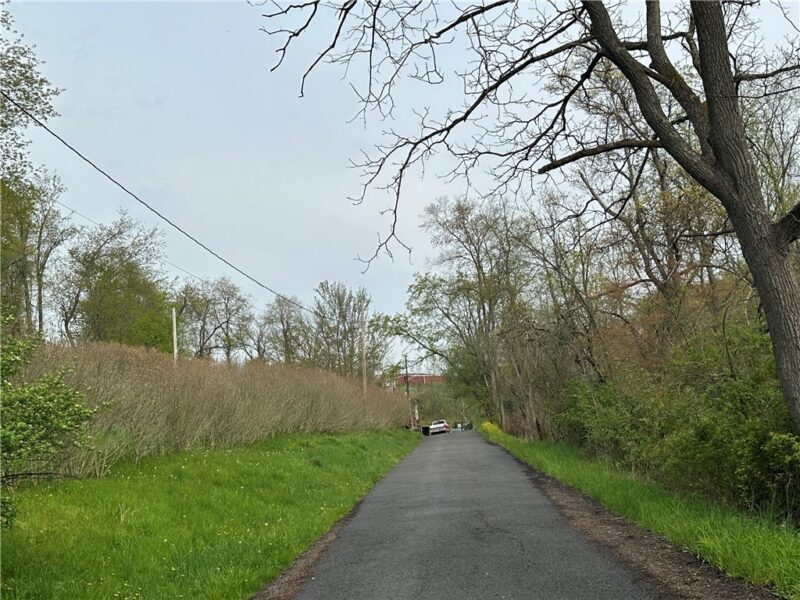 45 Colony Road — photo 3