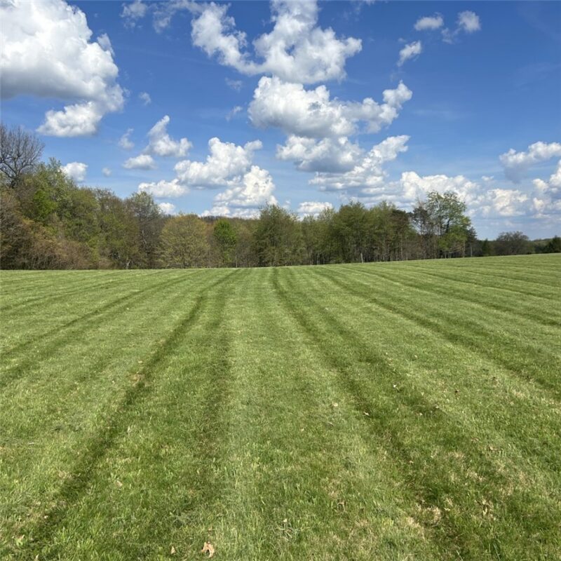 224 Morrow Rd — photo 3
