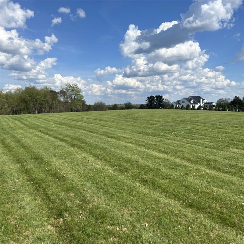 224 Morrow Rd — photo 4