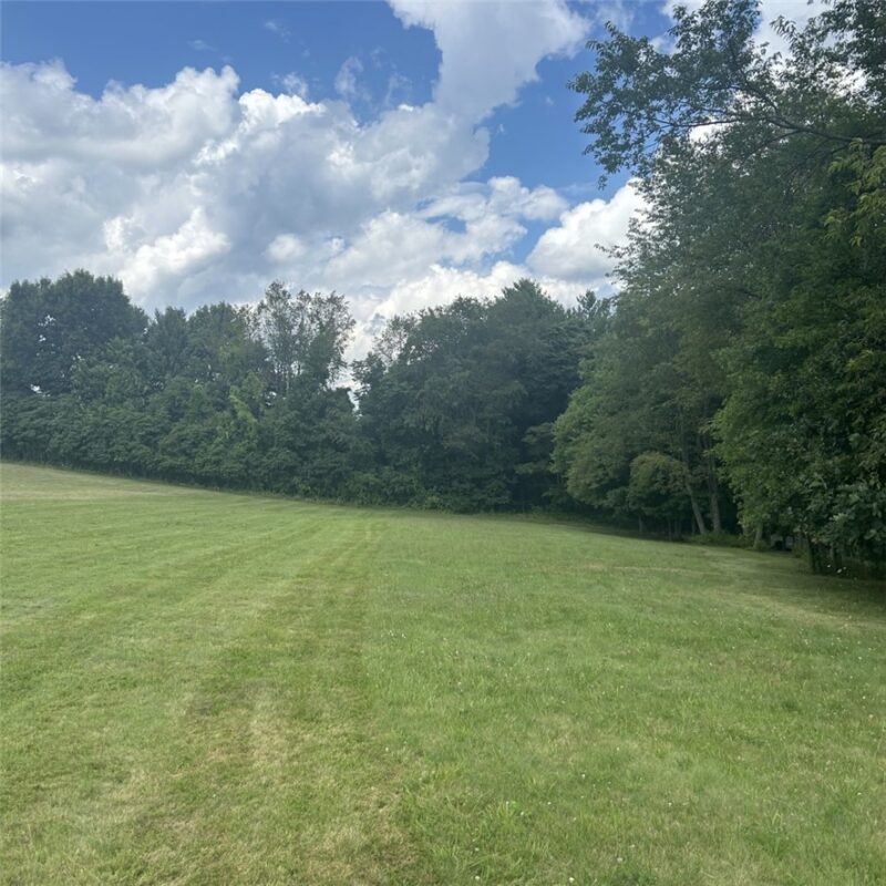 224 Morrow Rd — photo 5