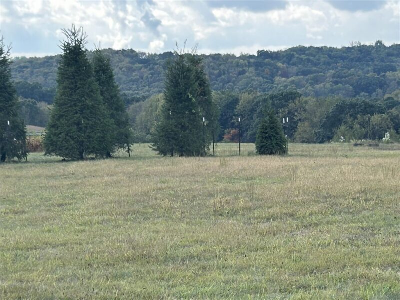 224 Morrow Rd — photo 6