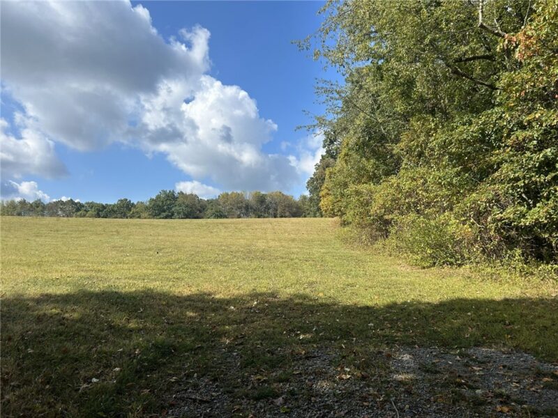 224 Morrow Rd — photo 8