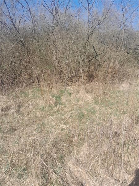 0001 Joffre Cherry Valley Road — photo 8