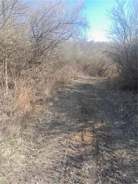 01 Joffre Cherry Valley Road — photo 3