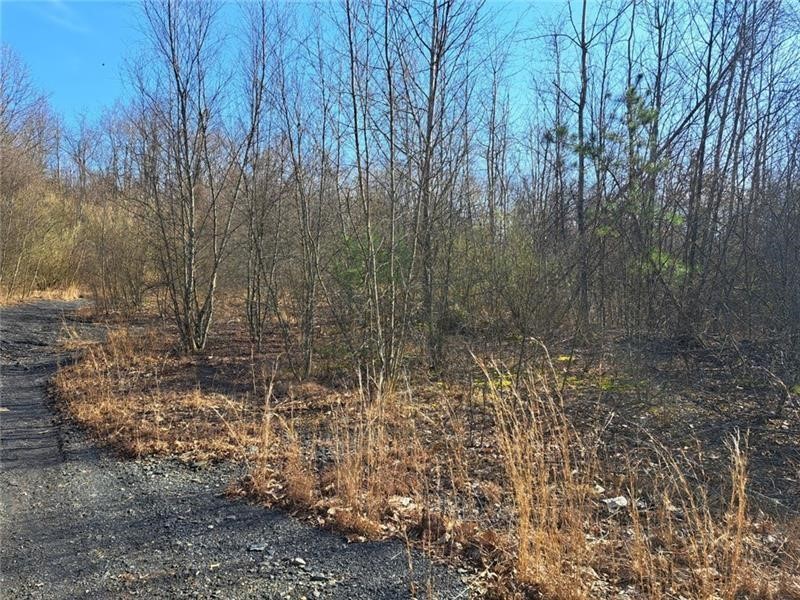 01 Joffre Cherry Valley Road — photo 5
