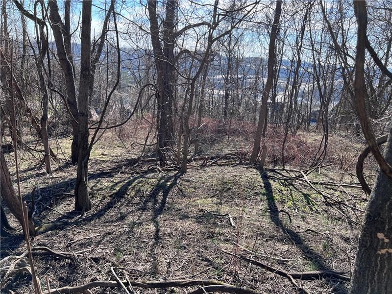 Lot#5 Tuscany Lane — photo 6