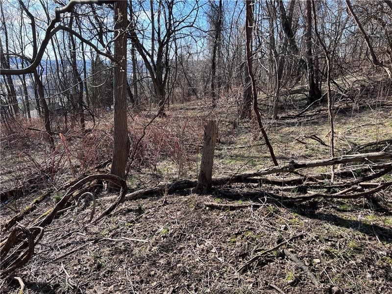 Lot#5 Tuscany Lane — photo 7