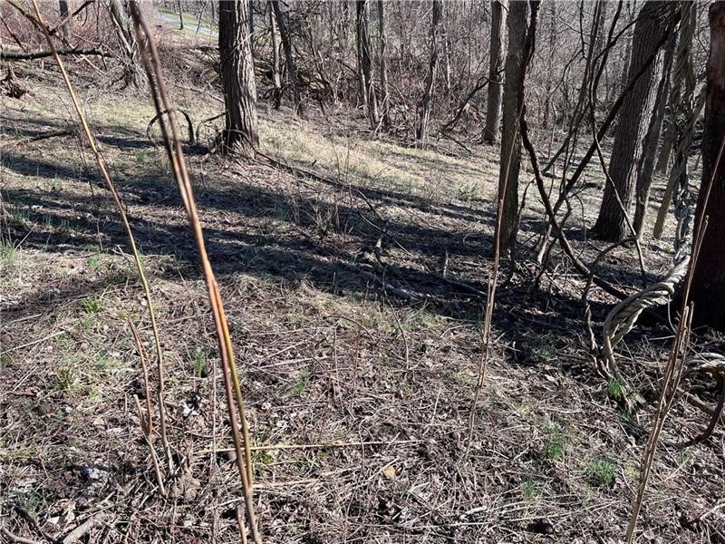 Lot#5 Tuscany Lane — photo 8