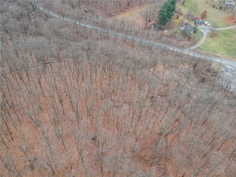 000 Mingo Rd — photo 3