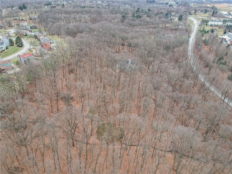 000 Mingo Rd — photo 6