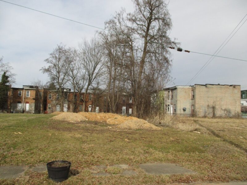 517 Winfield St — photo 2