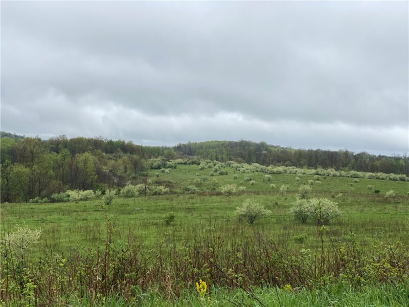 00 Decker's Point Road — photo 2